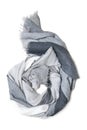 Cashmere scarf isolated Royalty Free Stock Photo