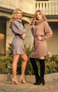 Cashmere woolen sweaters. Warm oversized sweaters. Women wear sweaters. Elongated sweatshirts tunics or dress. Girls in