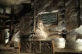 Casimir III in Salt Mine Wieliczka Royalty Free Stock Photo