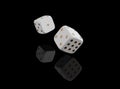 Casino black background with dice 3d. Online casino banner. White and gold dice with reflection isolatel on black. 3d