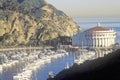 Casino building and Avalon Harbor, Avalon, Catalina Island, California Royalty Free Stock Photo