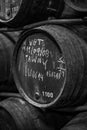 Cask storage in a wine celler Royalty Free Stock Photo