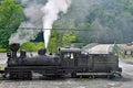 Cass Scenic Railroad Shay #2 Royalty Free Stock Photo