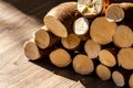 Cassava, also called manioc, yuca, balinghoy, mogo, mandioca, kamoteng kahoy, tapioca and manioc root, a woody shrub of the Royalty Free Stock Photo