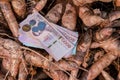 Cassava and banknote money thai baht, money in manioc planting, money in cassava agricultural land, tapioca trading or selling