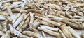 cassava being dried on the floor