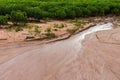 Cassava ground damage