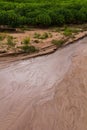 Cassava ground damage