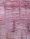 Cassava inner bark texture, top view shot Royalty Free Stock Photo