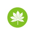 Cassava leaf icon design, flat style illustration