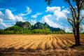 Cassava Plough Land, View at Noen Maprang, Phitsanulok, Thailand