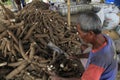 Cassava Processing