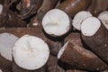 Cassava raw tuber Manihot esculenta