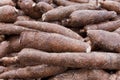 Cassava Root Royalty Free Stock Photo