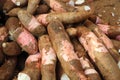 Cassava roots at vegetable market. India Royalty Free Stock Photo