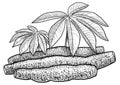 Cassava, tapioca illustration, drawing, engraving, ink, line art, vector