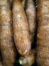 Cassava, Yuca from Costa Rica