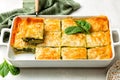 Casserol Spanakopita piece of pie, homemade Greek spinach pastry. With cheese feta Royalty Free Stock Photo