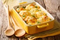 casserole from cauliflower with bechamel sauce close-up in a baking dish. horizontal