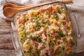 Casserole noodles with ham and parmesan close-up in a baking dis Royalty Free Stock Photo