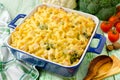 Casserole with pasta, chicken and broccoli Royalty Free Stock Photo