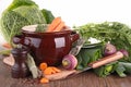 Casserole with raw vegetables Royalty Free Stock Photo