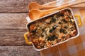 Casserole with spinach and cheese close up in a dish. horizontal Royalty Free Stock Photo