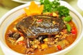 Casseroles stewed turtle Royalty Free Stock Photo