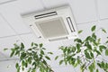 Closeup cassette Air Conditioner on ceiling in modern light office or apartment with green ficus plant leaves. Indoor