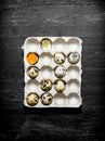 Cassette with quail eggs. Royalty Free Stock Photo
