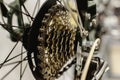 Cassette on the rear wheel of a mountain bike to change gears Royalty Free Stock Photo