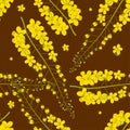 Cassia Fistula - Golden Shower Flower on Brown Background.