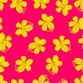 Cassia Fistula - Golden Shower Flower on Pink Background. Vector Illustration