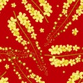 Cassia Fistula - Golden Shower Flower on Red Background.