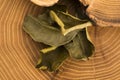 Cassia leaves