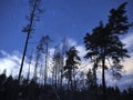 Cassiopeia constellation stars on night sky and clouds over winter forest Royalty Free Stock Photo
