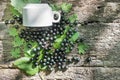 Cassis berry on wooden background Royalty Free Stock Photo