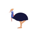 Cassowary bird, cartoon style vector illustration isolated on white Royalty Free Stock Photo