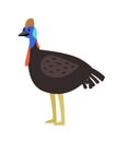 Cassowary cute cartoon bird