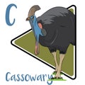Cassowary the flightless but very dangerous big bird who can kick you