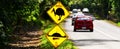Cassowary warning sign in Queensland Australia Royalty Free Stock Photo