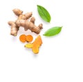 Cassumunar ginger with leaf on white