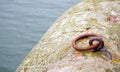 Cast iron anchoring point by the sea Royalty Free Stock Photo