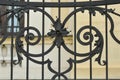 Cast Iron fence Royalty Free Stock Photo