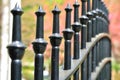 Cast Iron Fence in a Park Royalty Free Stock Photo