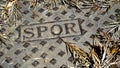 Cast iron manhole cover with SPQR engraving on an asphalt, covered with leaves