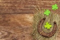 Cast iron metal horse horseshoe with felt clove leaves on hay. Good luck symbol, St.Patrick`s Day concept Royalty Free Stock Photo