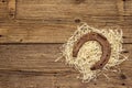 Cast iron metal horse horseshoe on hay. Good luck symbol, St.Patrick`s Day concept Royalty Free Stock Photo