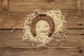 Cast iron metal horse horseshoe on hay. Good luck symbol, St.Patrick`s Day concept Royalty Free Stock Photo