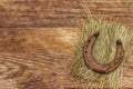Cast iron metal horse horseshoe on hay. Good luck symbol, St.Patrick`s Day concept Royalty Free Stock Photo